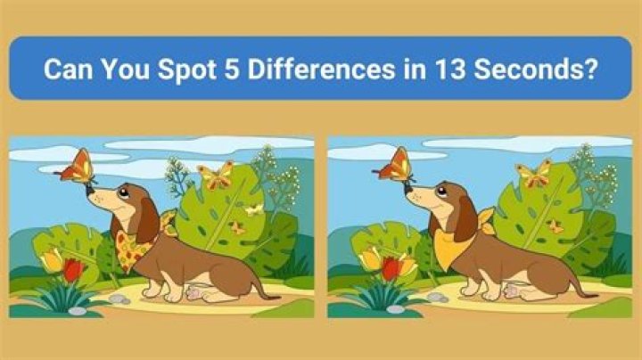 What is the difference between MegaSquirt 2 and 3?