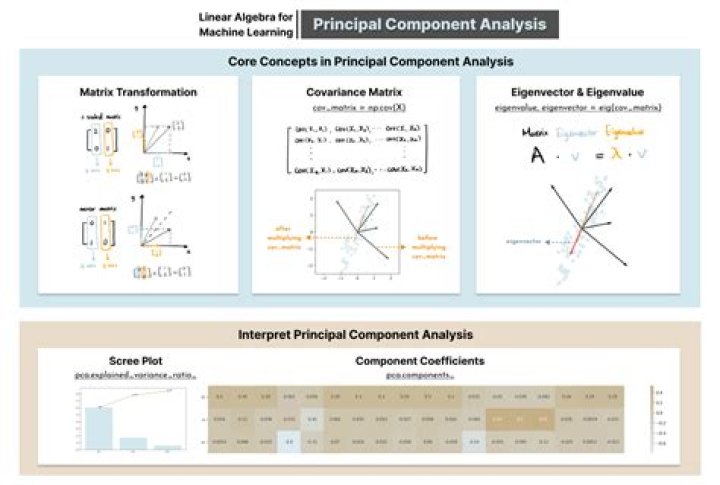 What is the difference between principal component analysis and common factor analysis?