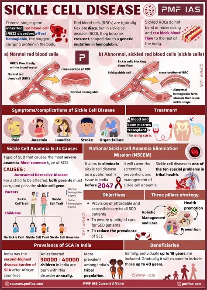 What is the DNA sequence for sickle cell anemia?