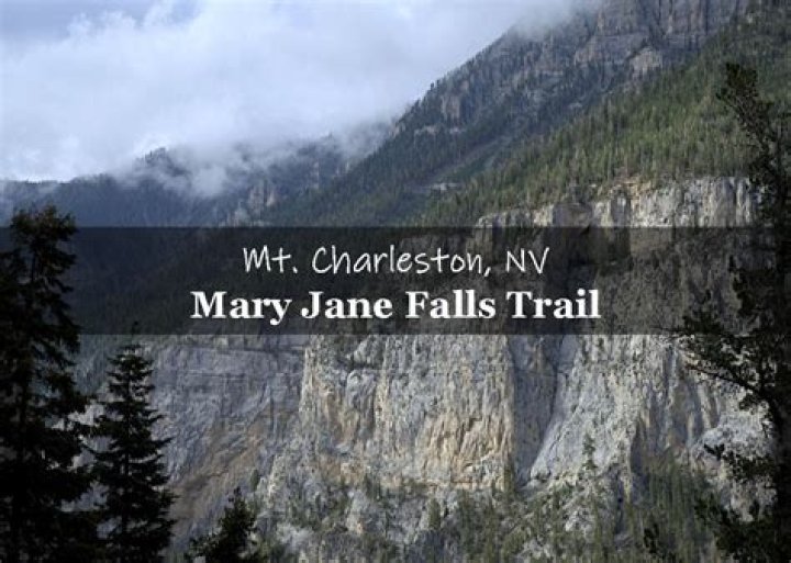 What is the easiest trail in Mt Charleston?