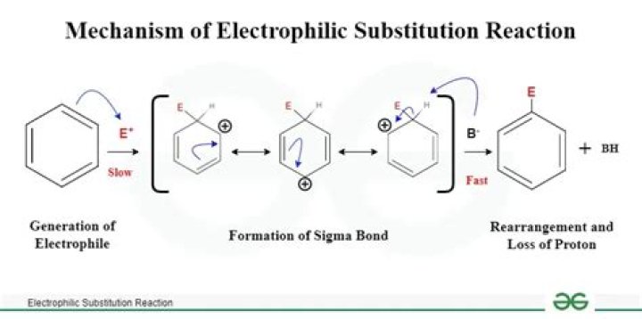 What is the electrophile in nitration?