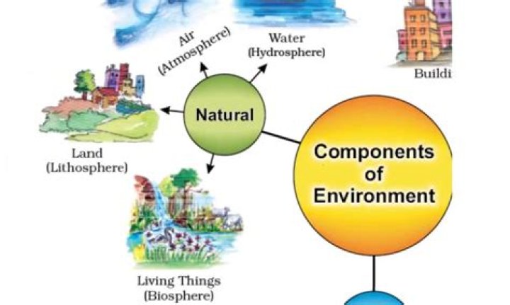 What is the environment of nursing?