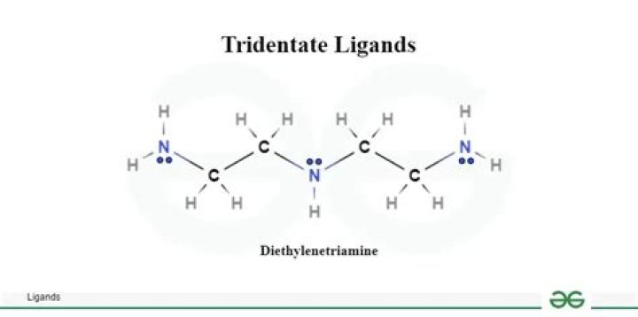 What is the example of tridentate ligand?