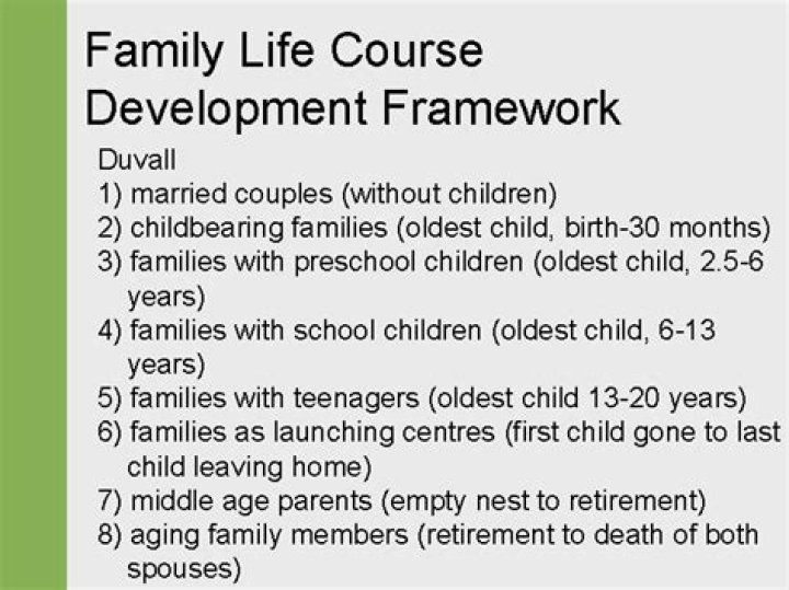 What is the family life course development framework?