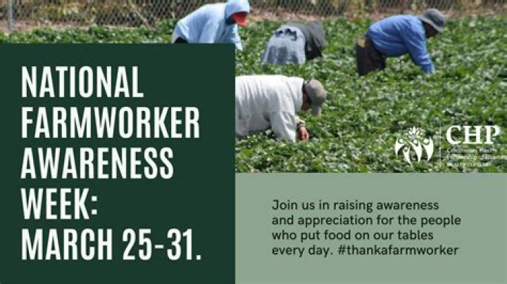What is the farmworker movement?