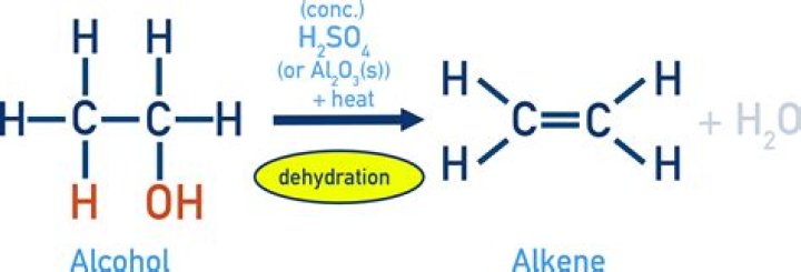 What is the first step in the dehydration of an alcohol to form an alkene with sulfuric acid?