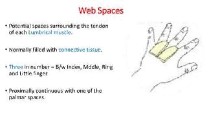 What is the first web space?