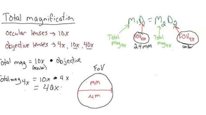 What is the formula used to calculate total magnification?