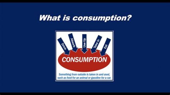 What is the full meaning of consume?