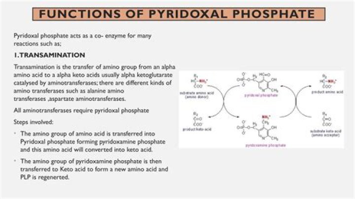 What is the function of aminotransferases?