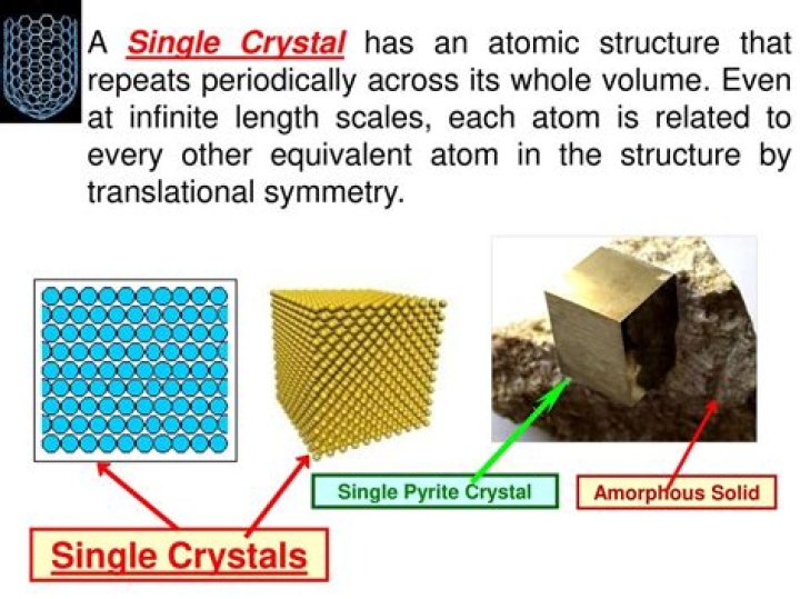 What is the function of crystalline style?