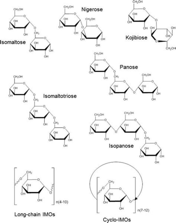 What is the function of Isomalto-oligosaccharide?