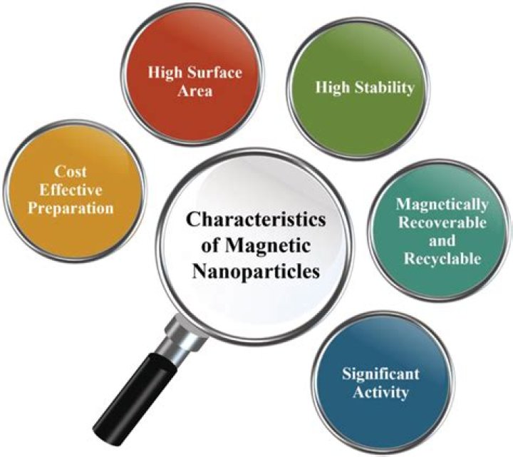 What is the function of magnetic nanoparticles?