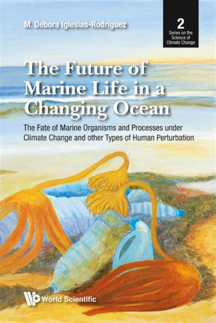 What is the future of marine engineer?