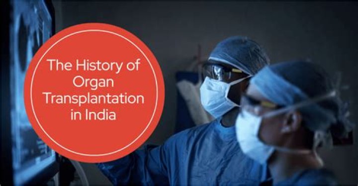 What is the history of organ transplants?
