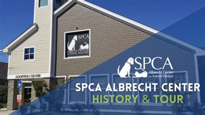 What is the history of the SPCA?