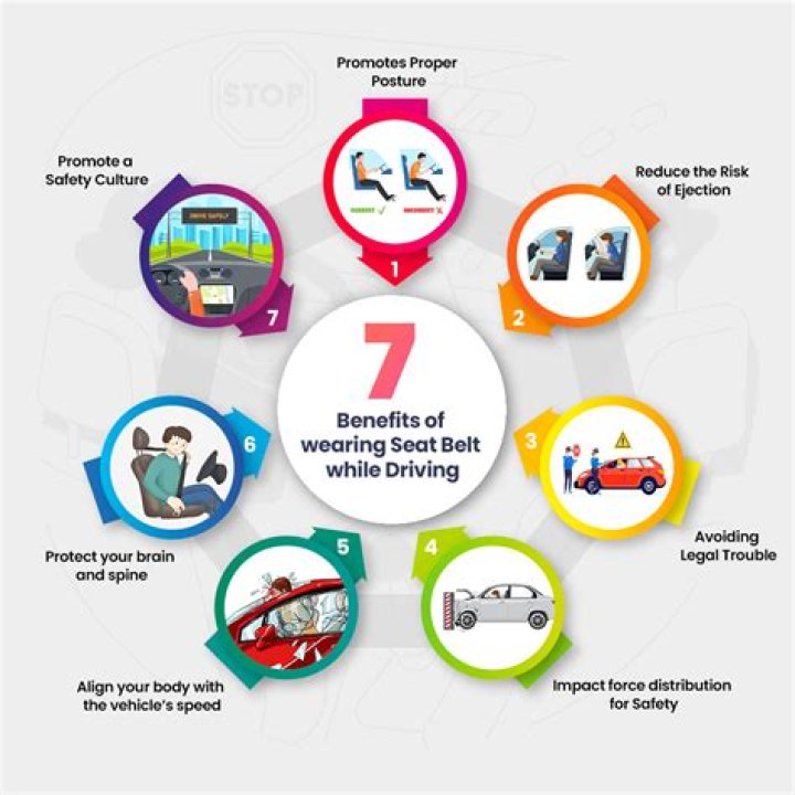 What is the importance of car rental procedures?