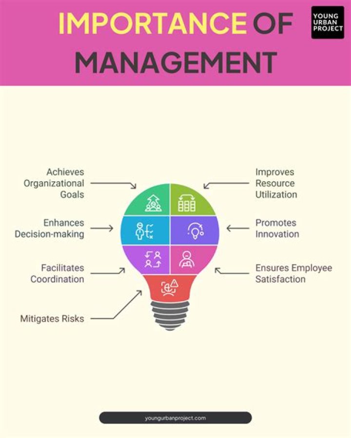 What is the importance of school organization?