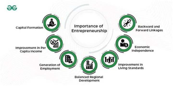 What is the importance of the international entrepreneurship?
