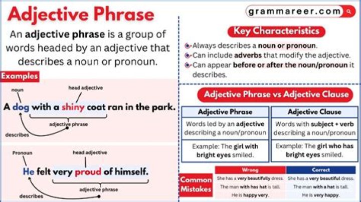What is the introductory phrase in a sentence?