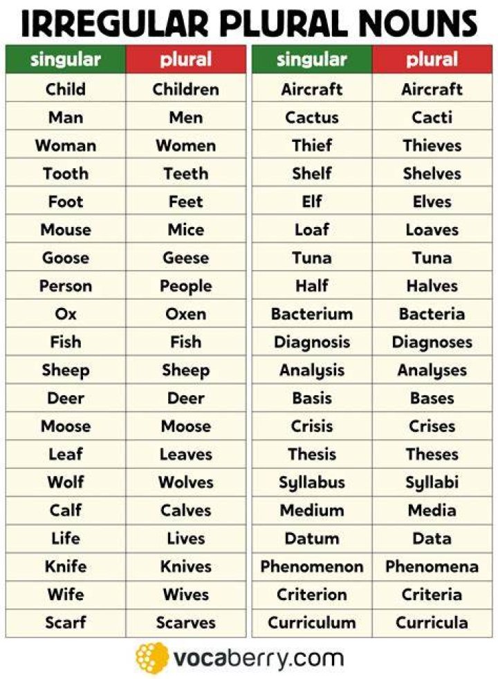 What is the irregular plural of moose?