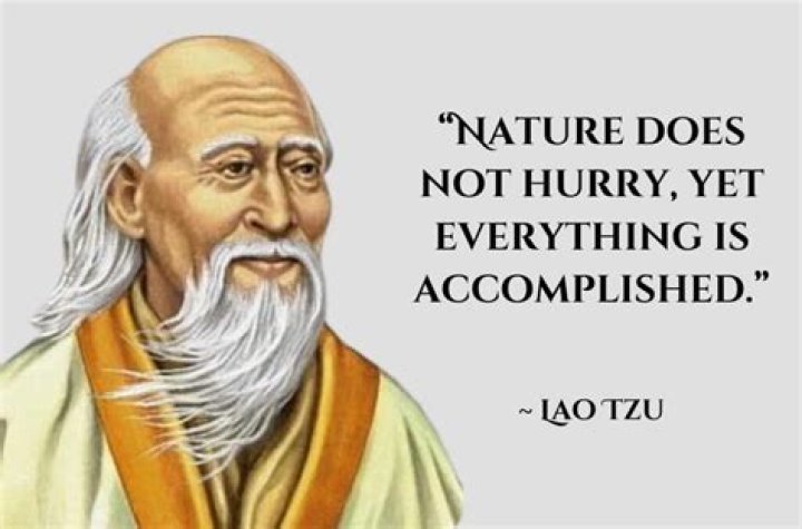 What is the Lao Tzu principle?