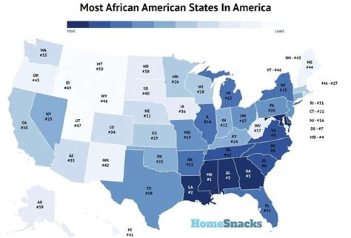 What is the largest African American fraternity?