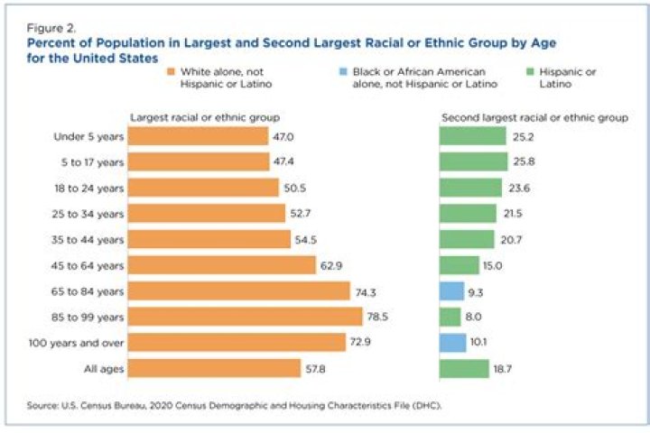 What is the largest group of government employees?