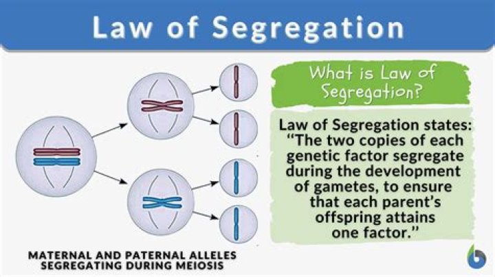 What is the legal definition for segregation?