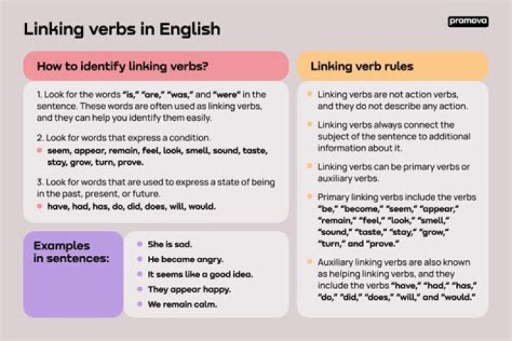 What is the linking verb in this sentence?