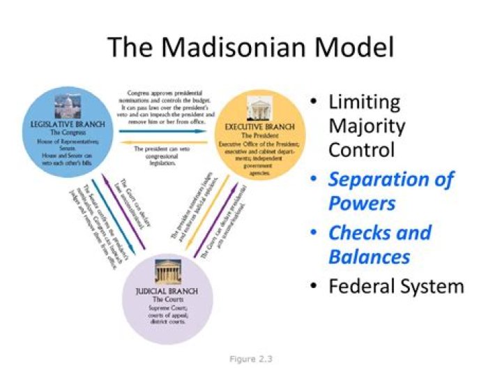 What is the Madisonian system quizlet?