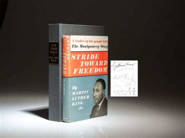 What is the main idea of Stride Toward Freedom?
