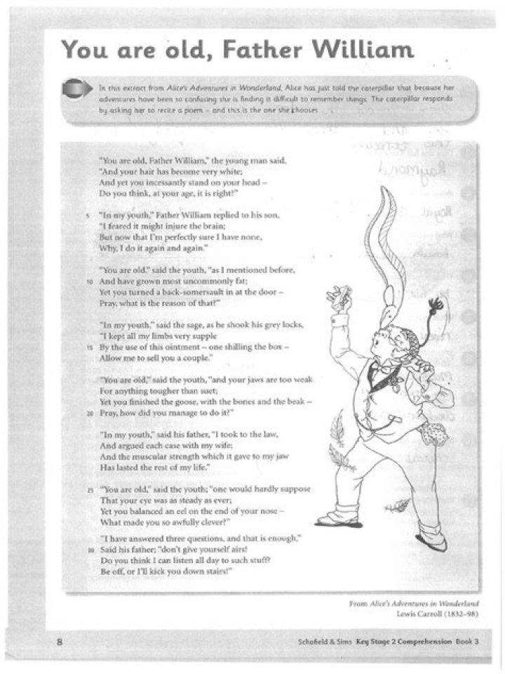 What is the main idea of the poem you are old father William?