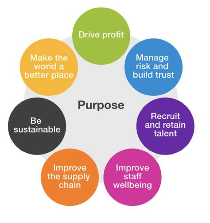 What is the main purpose of job design?