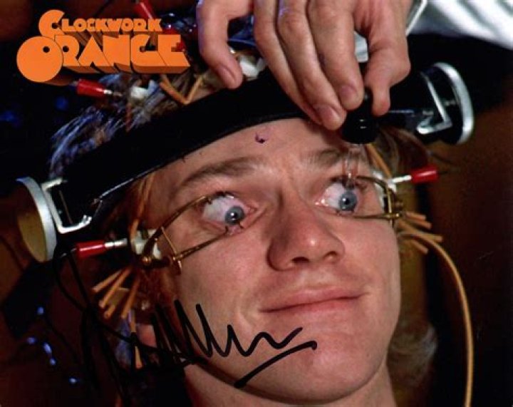 What is the meaning behind A Clockwork Orange?