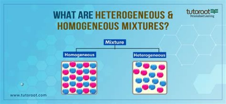 What is the meaning by homogeneous?