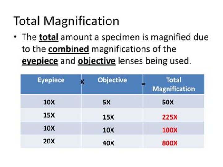 What is the meaning of 100X magnification?
