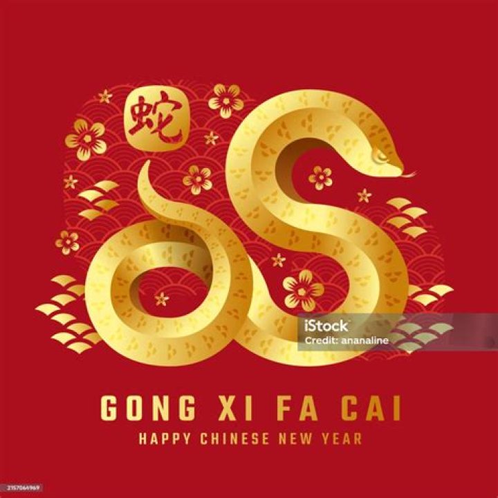 What is the meaning of Gong Xi Fa Cai?