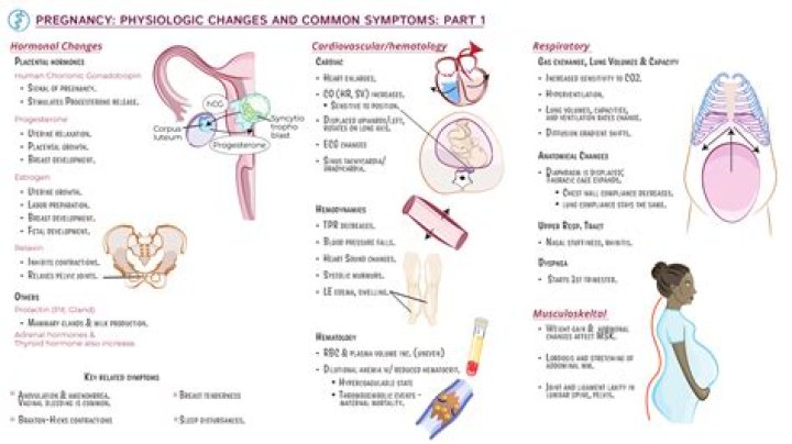 What is the meaning of pregnancy toxemia?