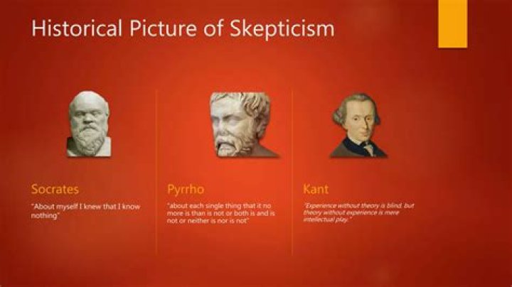 What is the meaning of skepticism in research?
