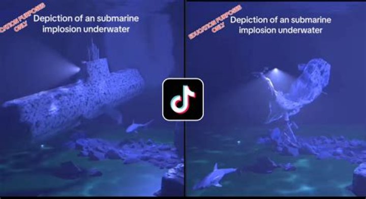 What is the meaning of Sub Marine?