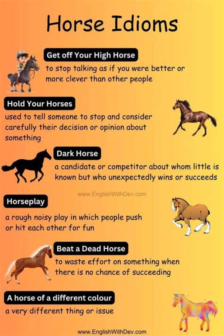 What is the meaning of the idiom beat a dead horse?