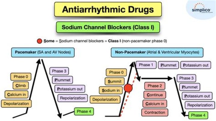 What is the mechanism of action of antiarrhythmic drugs?