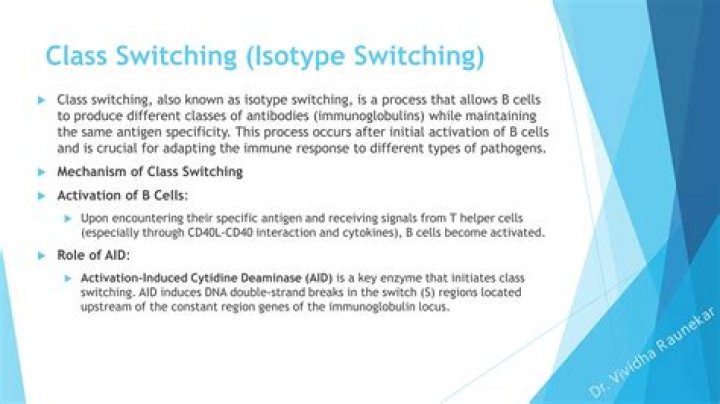 What is the mechanism of class switching?
