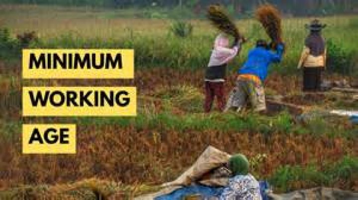 What is the minimum working age in Ethiopia?