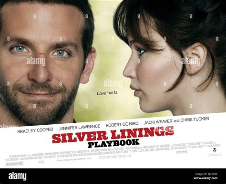 What is the moral of Silver Linings Playbook?