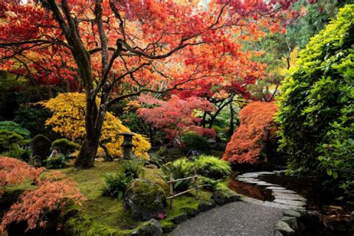 What is the most beautiful garden in Japan?