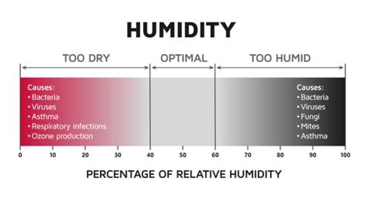 What is the most comfortable relative humidity?