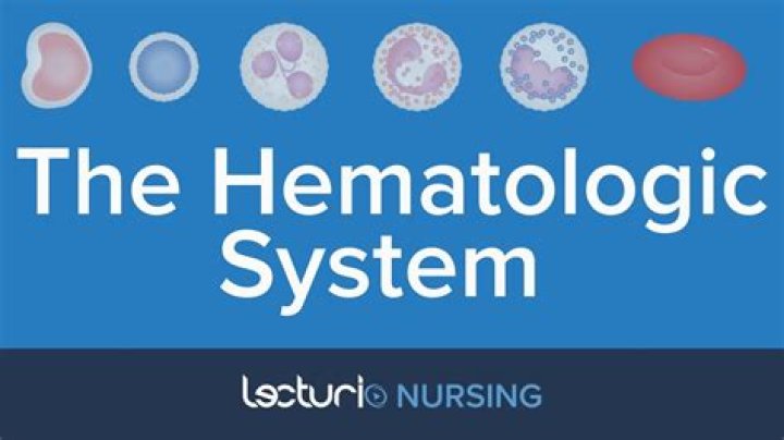 What is the most common disorder of the hematologic system?