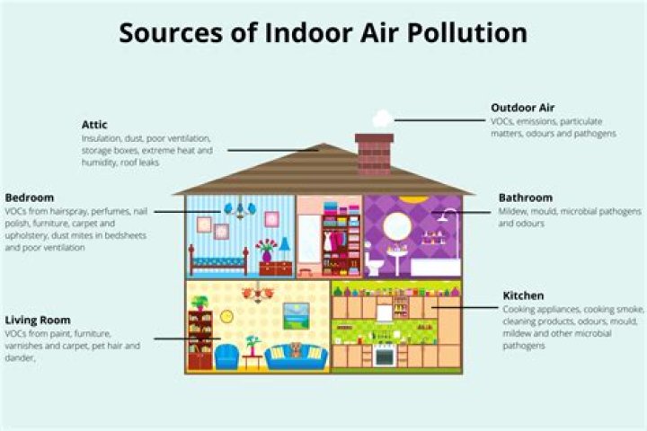 What is the most common indoor air pollutant?